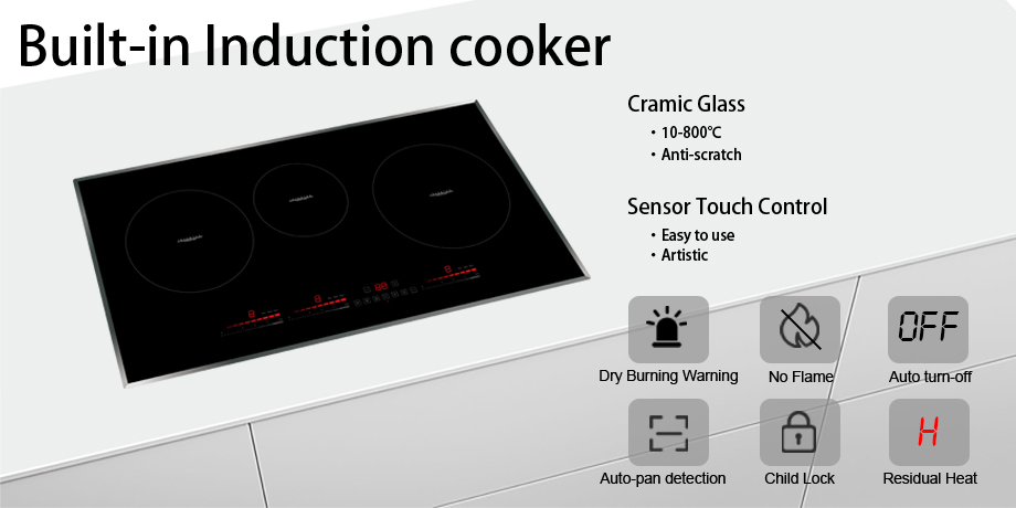 6700W Induction Burner